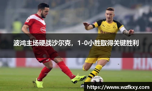 波鸿主场硬战沙尔克，1-0小胜取得关键胜利