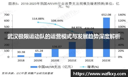 武汉极限运动队的运营模式与发展趋势深度解析