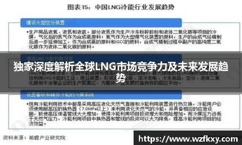 独家深度解析全球LNG市场竞争力及未来发展趋势