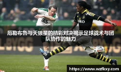 厄勒布鲁与天狼星的精彩对决揭示足球战术与团队协作的魅力