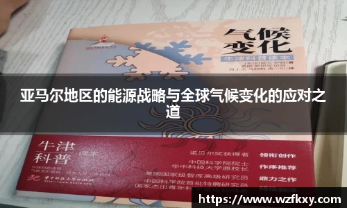 亚马尔地区的能源战略与全球气候变化的应对之道