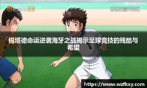 yy体育